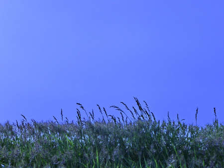 On the shore of the sky