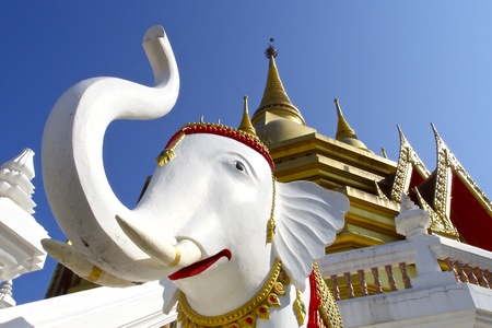 Temple Thailand の写真素材