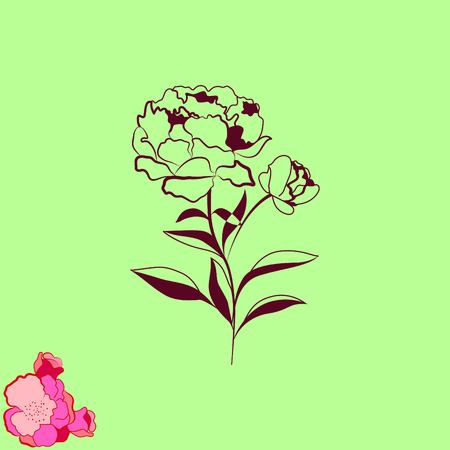 Vector flower Iconのイラスト素材