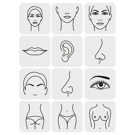 body parts icons plastic face surgeryのイラスト素材