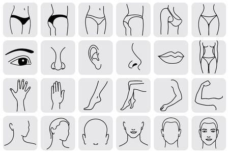 human body parts, medical vector icons. Body sculpting systemのイラスト素材