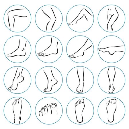 Human body parts. linear icons of human legs. Foot care Icons Set. Vector illustrations line art pack of human feet in various gestures. Human foot line icon. Human leg, ankle, thigh, knees, orthopedics, toe. Organs concept. Vector illustration can be used for topics like anatomy, medicine, health. Human body parts. Thin line icon.のイラスト素材