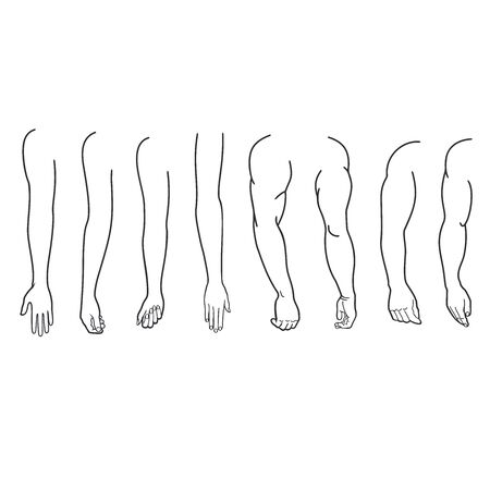 Handsのイラスト素材