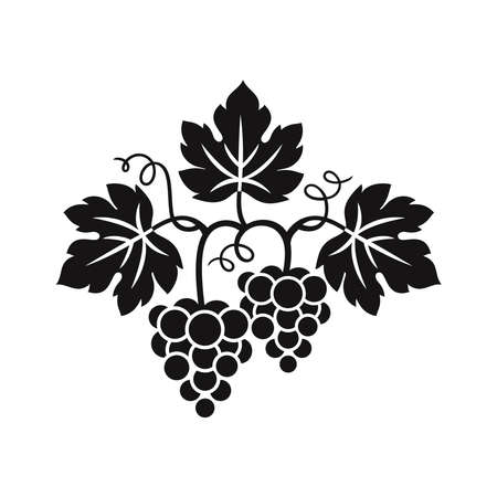 Grapes decorative pattern for wine design concept, bar menu, juice drinks, fruit juices, healthy vegan food, viticulture, wine or juice label, grape seed oil on white background. Vector illustration.のイラスト素材