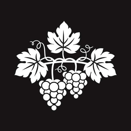 Grapes decorative pattern for wine design concept, bar menu, juice drinks, fruit juices, healthy vegan food, viticulture, wine or juice label, grape seed oil on a black background. Vector illustration.のイラスト素材