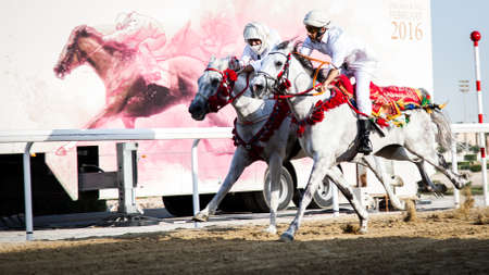 Doha,Qatar - April 11, 2016 : Qatar gold sword horse racing festival 2016 in Equestrian Club Al Rayyan Race Park.のeditorial素材
