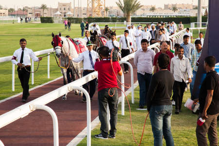Doha,Qatar - April 11, 2016 : Qatar gold sword horse racing festival 2016 in Equestrian Club Al Rayyan Race Park.のeditorial素材