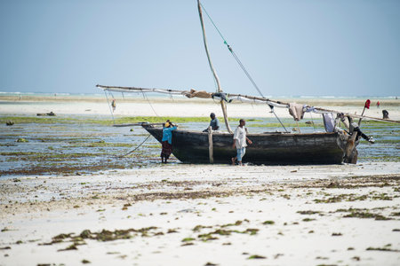 Zanzibar City, Tanzania-January 02,2019: Local fishermen are repairing their boats on the beach of Zanzibar Island.のeditorial素材