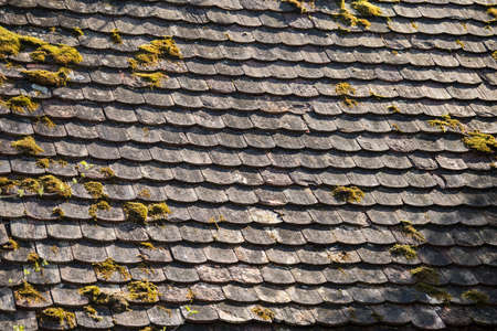 Ruined tiles on the old house.