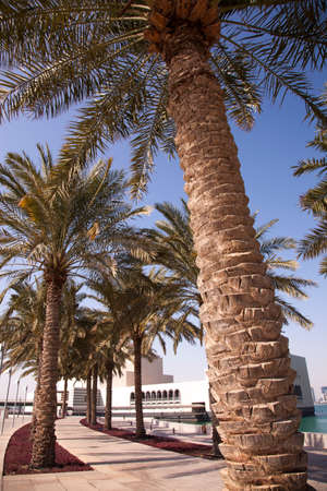 Doha,Qatar - March 23,2022 : View on he Museum of Islamic art on a sunny day.