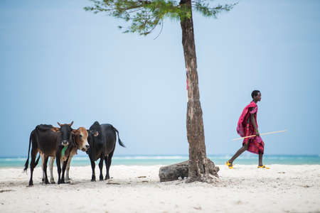 Zanzibar, Tanzania - January 02,2022: Masai warriors dressed in traditional clothes on sand beach of Zanzibar island.のeditorial素材