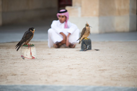 Doha ,Qatar-April 15,2022 : Qatari children with a falcon in the area Souq Waqif in Doha.