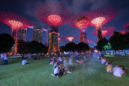 Singapore City, Singapore - September 11,2019: Night view of Gardens by the Bay  a nature park in...