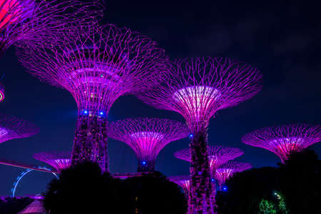 Singapore City, Singapore - September 11,2019: Night view of Gardens by the Bay  a nature park in Singapore City.のeditorial素材