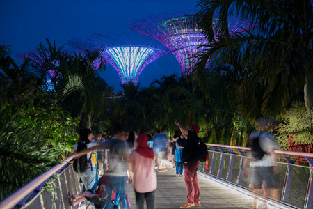 Singapore City, Singapore - September 11,2019: Night view of Gardens by the Bay  a nature park in Singapore City.のeditorial素材