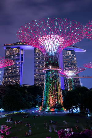 Singapore City, Singapore - September 11,2019: Night view of Gardens by the Bay  a nature park in...