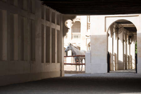 Doha,Qatar, May 01,2022 : View on Arabian horse in the old market souk Waqif in Doha,Qatar.のeditorial素材