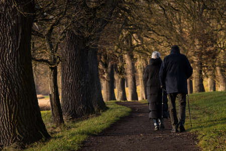 Ebersberg, Germany-March 10,2022 : Promenade along the Egglburger see (lake) along an alley of oaks in winter, a destination near Ebersberg, Upper Bavaria.のeditorial素材
