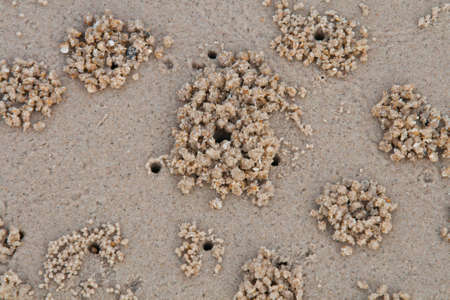 Sand on the beachの写真素材