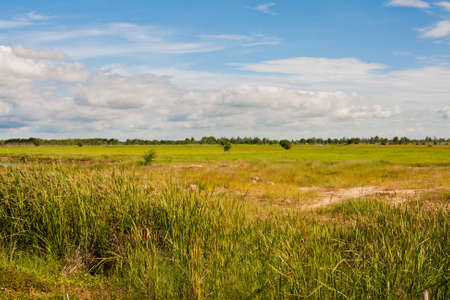 View of Thailand countrysideの写真素材
