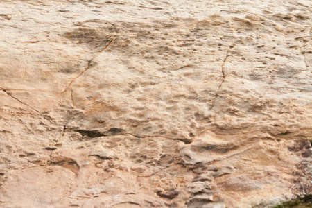 Texture stone backgroundの写真素材