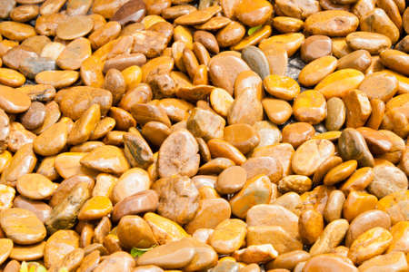 Texture stone background