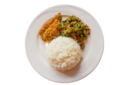 Rice and curry with fried chicken on a white dishの写真素材