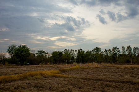 Fields with the evening skyの写真素材