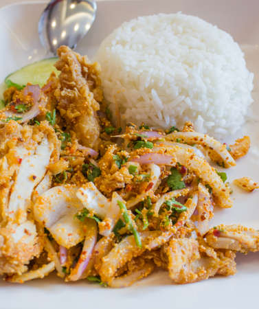 Spicy chicken mix fried riceの写真素材