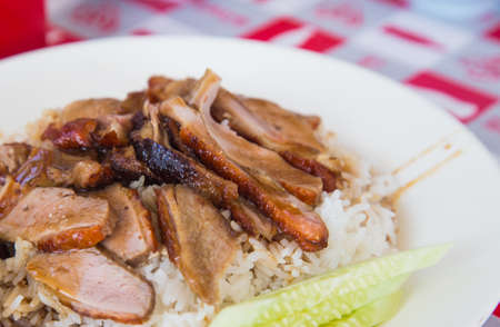 Duck with rice topped with sauce in dishの写真素材