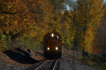 Autumn Trainの素材