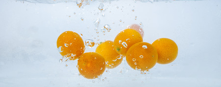 Kumquatの写真素材