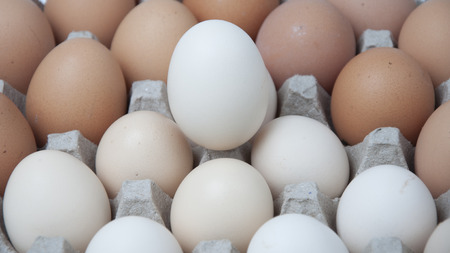 Eggs