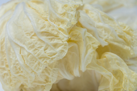 Chinese cabbage