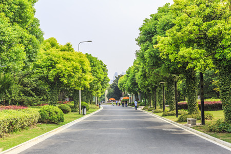 Road