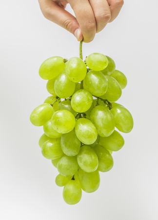 Grapeの写真素材