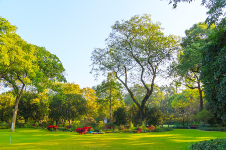 Beautiful exterior parkの写真素材
