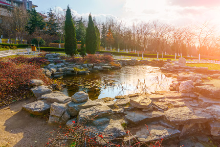 Lake in a gardenの写真素材
