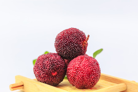 Red bayberryの写真素材