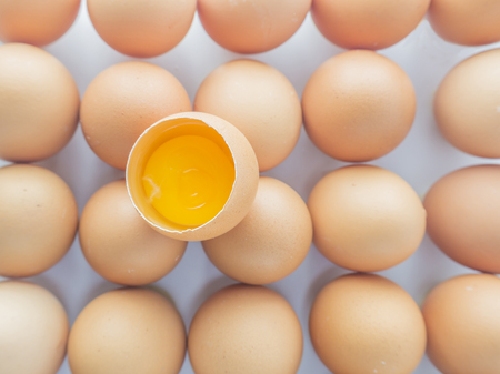 eggsの写真素材