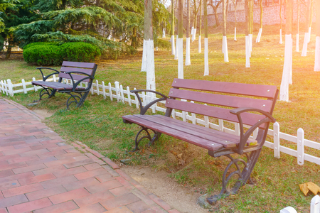 Park benchの写真素材