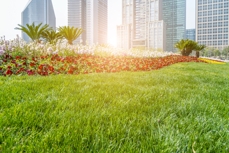 Architectural scenery of Lujiazui, Shanghaiの写真素材