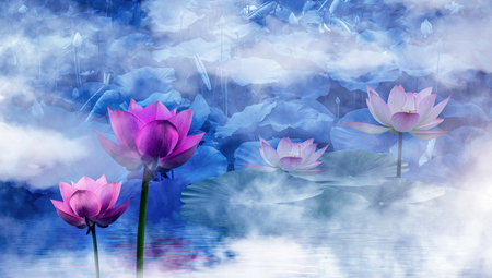 lotus flowersの写真素材