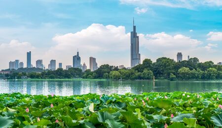 Nanjing city skylineの写真素材