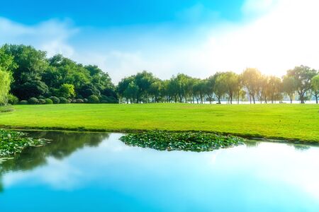 Park lake green woodsの写真素材