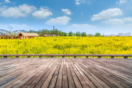 The wooden observation deck and Canora flower blossoms