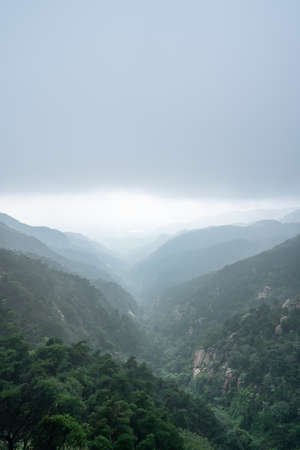 Forest Mountain Park in the fogの写真素材