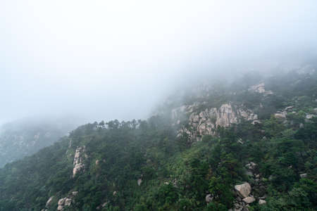 Outdoor forest park nature landscape and fogの写真素材