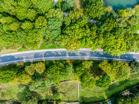 Aerial photography outdoor forest bend asphalt roadの写真素材