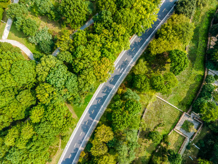 aerial photography outdoor forest asphalt road transportationの写真素材